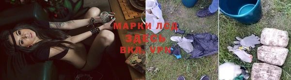 гидра Арсеньев
