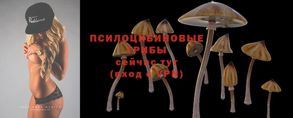 гидра Арсеньев