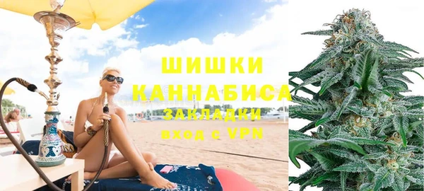 гидра Арсеньев