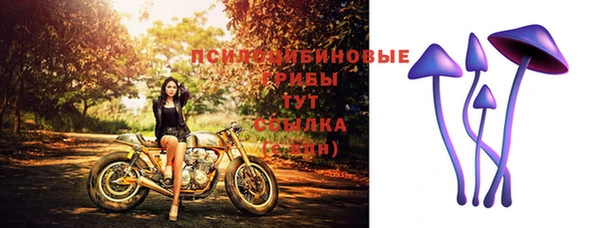гидра Арсеньев