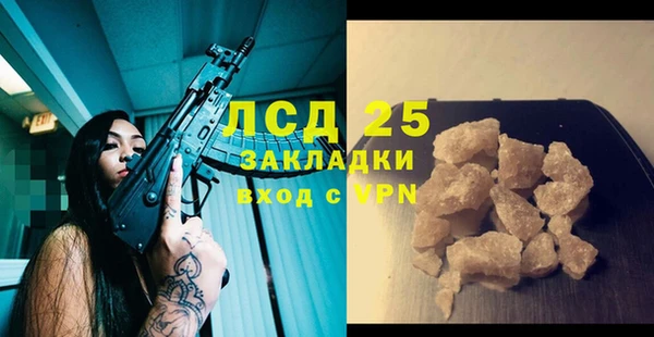 гидра Арсеньев