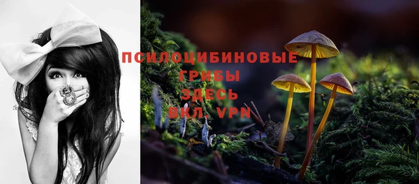 гидра Арсеньев