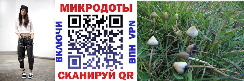 Галлюциногенные грибы MAGIC MUSHROOMS  закладки  Барабинск 