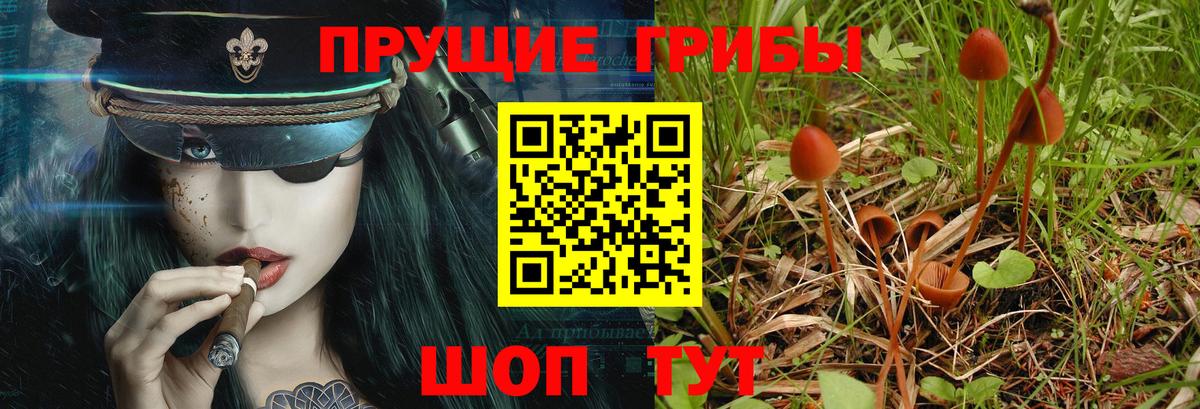 Псилоцибиновые грибы мицелий  Вход с VPN  Барабинск 