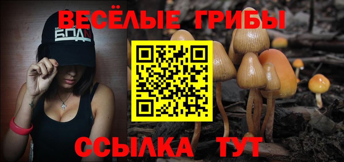 Псилоцибиновые грибы Cubensis Барабинск